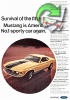 Ford 1970 175.jpg
